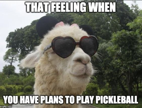 That feeling when you have plans to play pickleball.