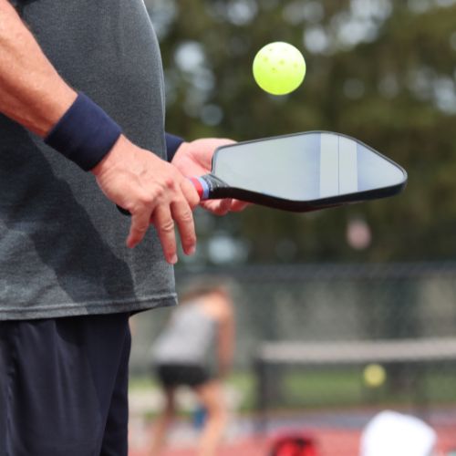 player with best pickleball paddle under $100